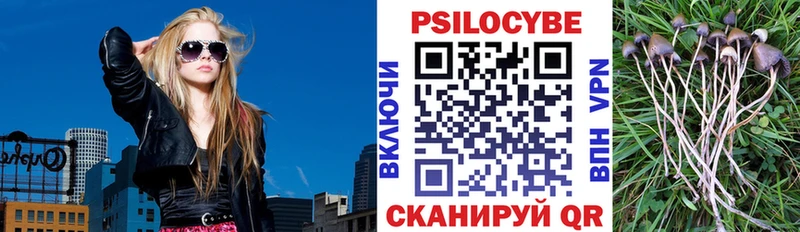 Галлюциногенные грибы Psilocybe Белореченск