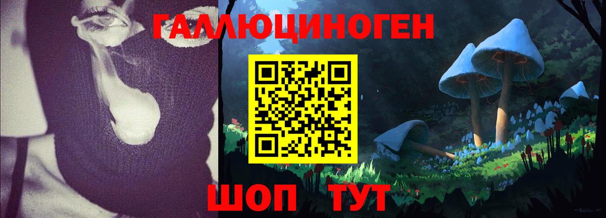 Псилоцибиновые грибы Psilocybine cubensis  Вход с VPN  Белореченск  Галлюциногенные грибы мицелий 